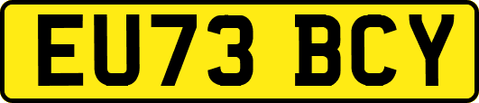 EU73BCY