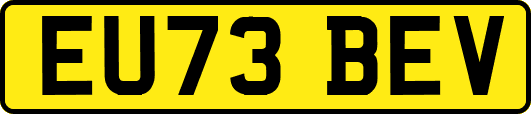 EU73BEV