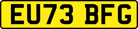 EU73BFG