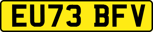 EU73BFV