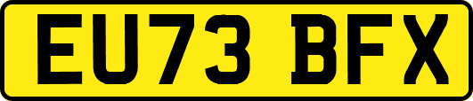 EU73BFX