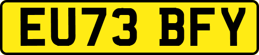 EU73BFY