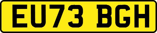 EU73BGH