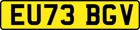 EU73BGV