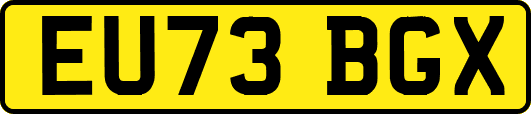EU73BGX