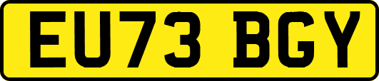 EU73BGY