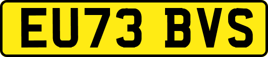 EU73BVS