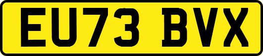 EU73BVX