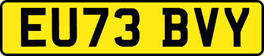 EU73BVY