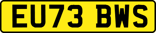 EU73BWS