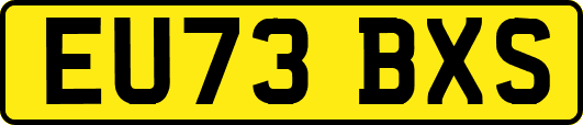 EU73BXS