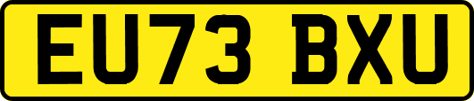 EU73BXU