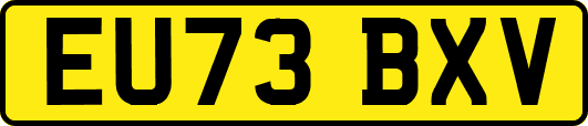 EU73BXV