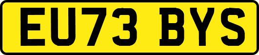 EU73BYS