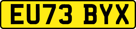 EU73BYX
