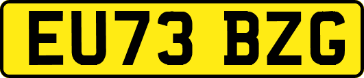EU73BZG