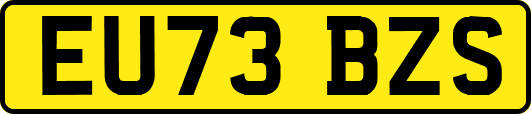EU73BZS