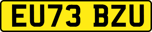 EU73BZU