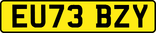 EU73BZY