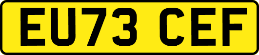 EU73CEF