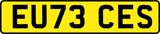 EU73CES