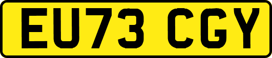 EU73CGY
