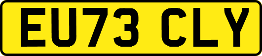 EU73CLY