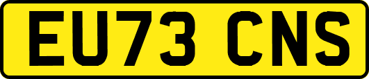 EU73CNS
