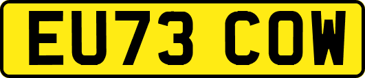 EU73COW