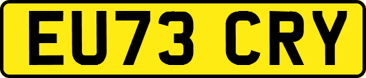 EU73CRY