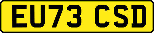 EU73CSD