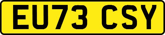 EU73CSY