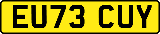 EU73CUY