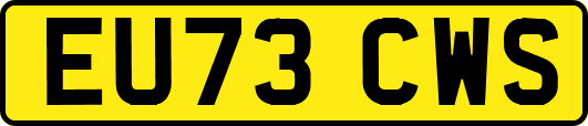 EU73CWS