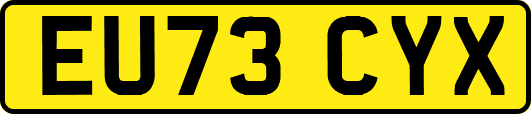 EU73CYX