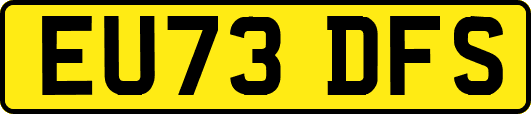 EU73DFS