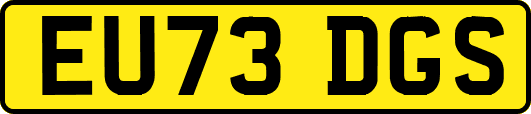 EU73DGS