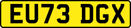 EU73DGX