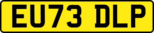 EU73DLP