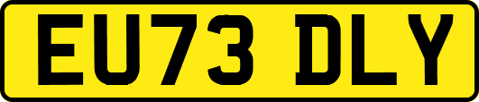 EU73DLY