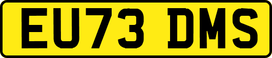 EU73DMS