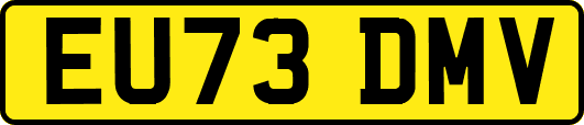 EU73DMV