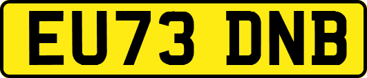 EU73DNB