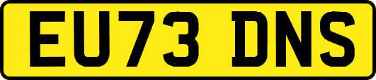 EU73DNS