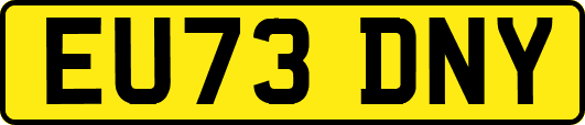 EU73DNY