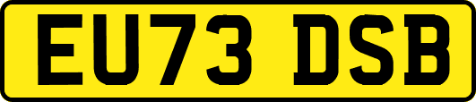 EU73DSB