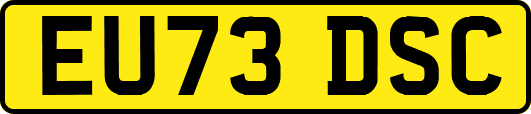 EU73DSC