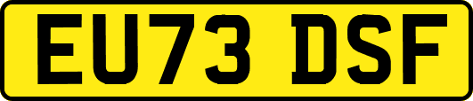 EU73DSF