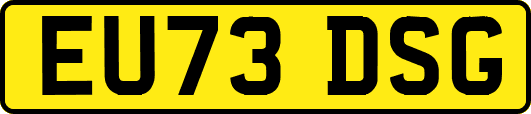 EU73DSG