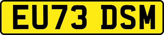 EU73DSM